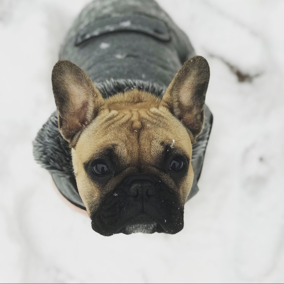 Meet your posher, Lindsy - Picture 2 of 4